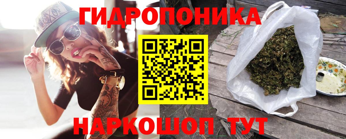 Шишки марихуана сатива Миллерово